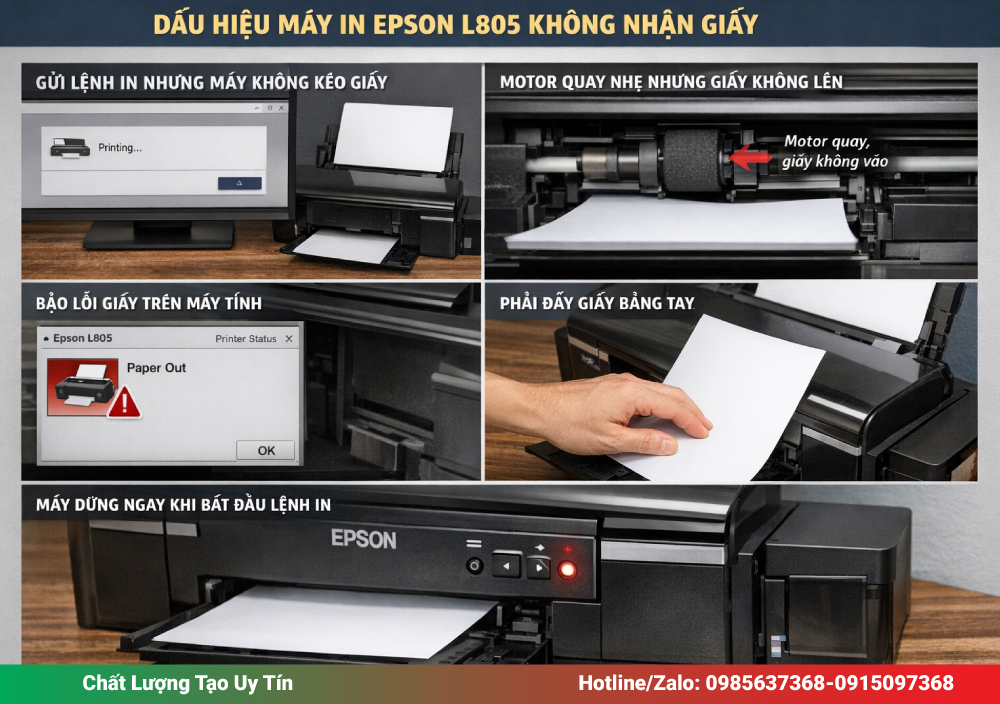 Dấu Hiệu Máy In Epson L805 Không Nhận Giấy