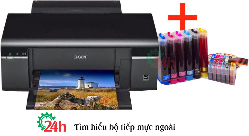 bo-tiep-muc-ngoai
