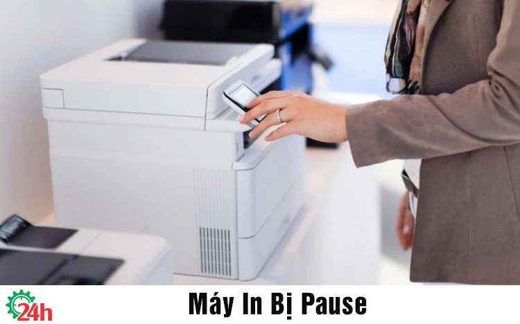 máy in bị pause